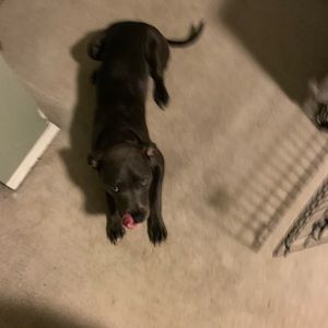 Meet your Posher, Brett